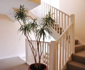 Stunning Modern Exeter Apartment w/balcony - Image 2