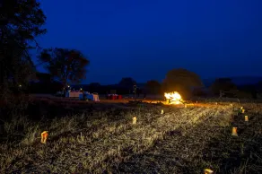 Kirawira Serena Camp - Image 4