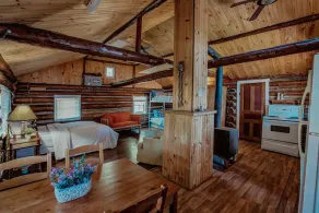 Site #60 | Log Cabin - Image 3