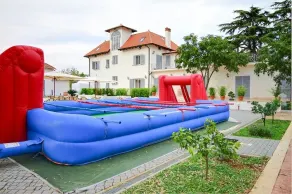 Villa Strampelli - Image 2