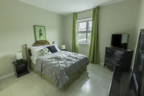 \"Le Luxe\" Penthouse 1 BR Condo w/ AC, complimentary Netflix, WiFi & 24/7 sec - Image 3