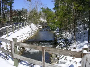 West Little Rock (Ferndale) 45+- Acre Country French Estate with Private Lake - Image 3