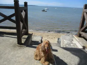 1 minute away, delights of the sea! - Image 4