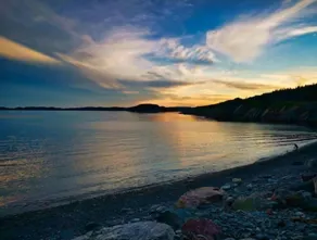 The Nest: Beautiful Newfoundland Sanctuary - Image 4