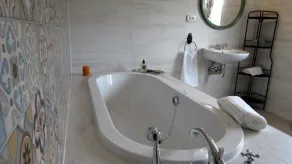 Villa Parta near Trilj, private pool - Image 3