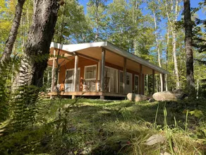 Bear Cabin - Cozy forest retreat near Lake (not on Waterfront) - Image 4