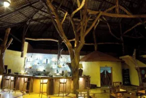 Ravintsara Wellness Hotel - Image 4