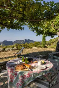 Maison de charme, vue exceptionnelle au milieu des vignes, calme absolu - Image 5