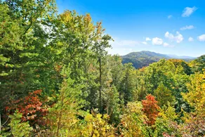 Three Bears-  Enjoy a panoramic view of the Cove Mountain range! 2 bed/2 bath cabin! - Image 5