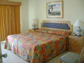 Perfect 2 Bedroom 2 Bath Condo - Paradise Village - Image 4
