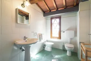 Lovely estate not far from Florence with olives trees - Image 2