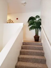 Reunion Resort Townhome - minutes from Disney! - Image 3