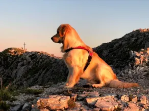 Your holidays in the wild heart of Tuscany - Image 2