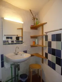 Maximum deceleration, detached house on a large plot - Image 2