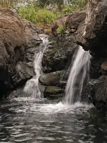Connected with Nature  - Image 4
