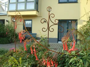 Cozy vacation apartment (70sqm) with large garden - Image 2