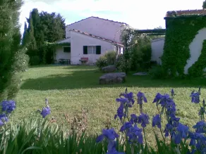 Mandorlo - Agriturismo San Leonardo i Saturnia - Image 4