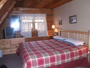 Log Cabin w HOT TUB in Mtn Community, On 1 acre, Less < 1 mile Okemo Main Base! - Image 3