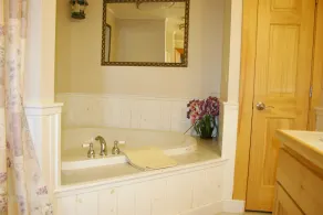 Elegant, spacious 5 bedroom home on Molasses Pond - Image 5