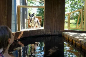 Séjour Détente Dans une Tiny House et son Bain Bordelais - Image 5