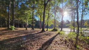 DISCONNECT! Experience Life Off-Grid - Image 4
