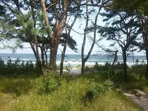 Gardensuite Binz - Image 5