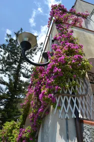 Casa Bouganville en la costa de Amalfi - Image 5