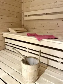 Exclusive country house, modern with old wood in chalet style, sauna and terrace - Image 3