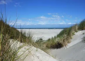 Chalet on Texel near Beach and Forest - Image 3