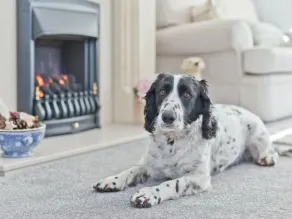 Lake District Coastal Cottage by Interhome - Image 2