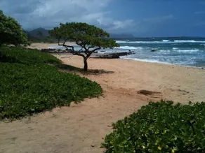 Your Kauai Adventure Starts With This Lovely Villa. - Image 5