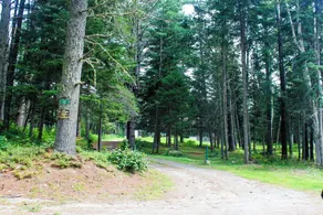 Beagle Lodge - Four season getaway - with shared waterfront and snowmobile access from your door! - Image 4
