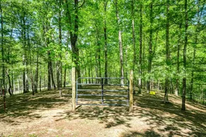 Big South Fork Equestrian Cabin & Barn with RV Hookups - Image 2