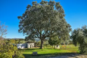 Near the Ascari circuit - Image 2