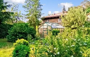 Ferienwohnung Rheinsberg - Image 5