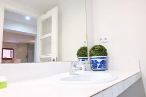 GARDEN House Downtown MADRID CENTRO-IFEMA-AEROPUERTO. 2 ROOMS 6 PAX GARDEN - Image 4