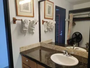 Oceanview Condo in Hana-Let the ocean lull you to sleep - Image 3
