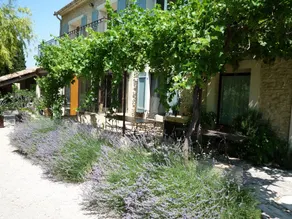 Farmhouse in Provence, farmhouse, private in a 7 hectares park, heated pool - Image 4