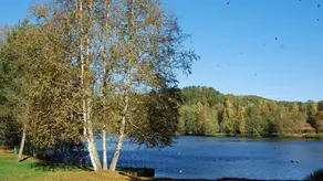 Wasgau - View - Appartamento a Schöntalweiher - Image 4