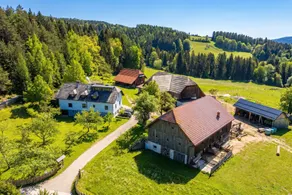 Suite Alder embraced by nature - Image 5