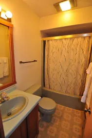 Ski-in ski-out 3 Bdrm Chalet w sauna on slopes & lake - Sleeps 8 - Image 4