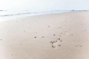 Wicked Close to Long Sands Beach! #2 - Image 3