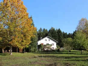 Gîte paisible en forêt avec terrasse, 4 personnes - Image 5