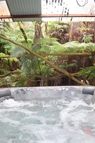 Volcano Rainforest Retreat with a Hot Tub - Image 2