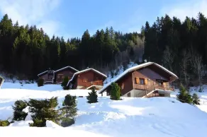 T3 cosy avec cheminée, pour 4-5 pers., skis aux pieds, terrasse sud/ouest, calme à Arêches-Beaufort - Image 3