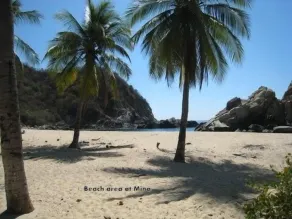Ocean front - Image 4