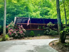 Cozy cabin getaway close to hiking, skiing, sightseeing, and Bristol! - Image 5