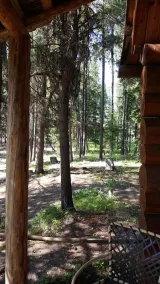 \"Loon's Nest\" rustikale Hütte versteckt zwischen den Kiefern - Image 5