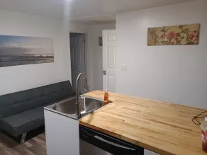 Cozy 2 bedroom apartment in Pottsville, PA by Route 61 near Locust Lake - Image 4