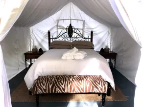 Glamping on a Safari - Image 2